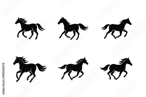 detailed black stallion vector drawing