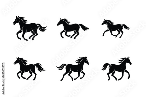 black stallion with thick mane