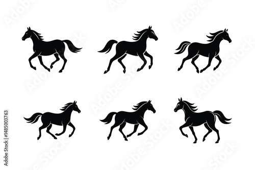 black stallion looking back vector