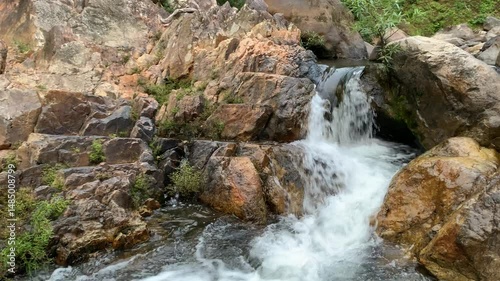 Clear Stream in Dense Green Forest