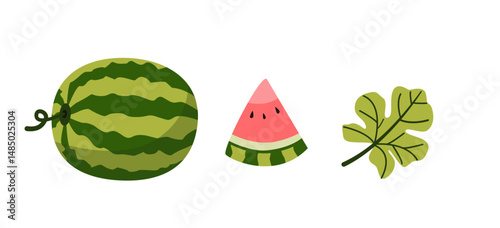 Whole watermelon, watermelon slice, and green leaf isolated on white background. Flat vector illustration.