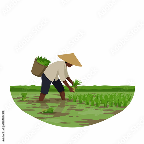 Rice Farmer in Paddy Field: A farmer in traditional attire, wearing a conical hat, carefully plants rice seedlings in a flooded paddy field.