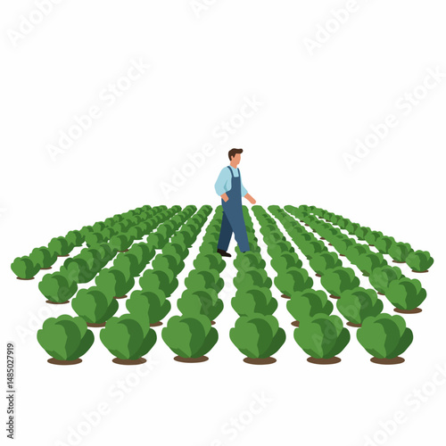 Cultivating Rows: A lone figure walks amidst precisely aligned, verdant rows of crops, exemplifying the dedication and cultivation of agriculture. 