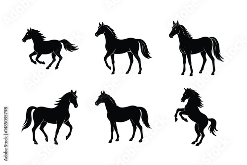stable black stallion side silhouette