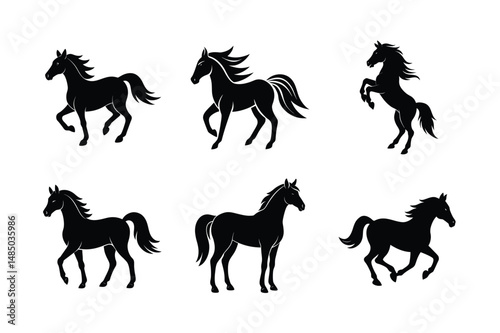 muscle detailed black stallion vector