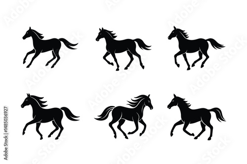 bold black stallion horse icon photo