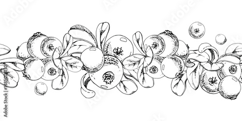 Cranberry lingonberry bunch, green leaves, ripe swamp forest berry bearberry teaberry wintergreen. Isolated seamless banner border vector hand drawn in ink. For home preserves, recipe book, stationery