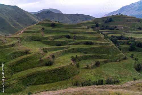 Chokhsky terraces Dagestan. Landscape of mountainous Dagestan with terraced fields and peaks mountains in the distance.