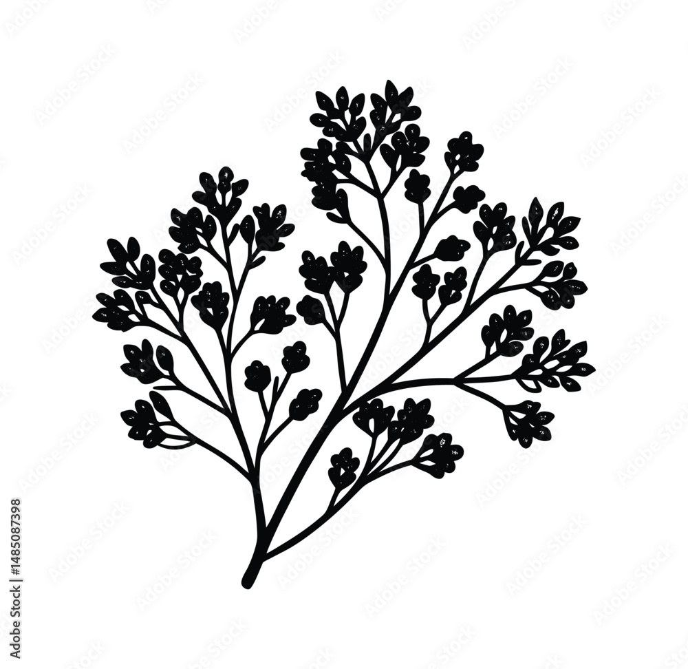 Vector Illustration Beautiful Flower design. Vector Illustration Beautiful Flower design.