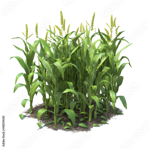 Digitally rendered image depicts a dense cluster of corn plants,  with vivid green leaves and golden-yellow stalks. The scene seems isolated, suggesting a graphic design element.