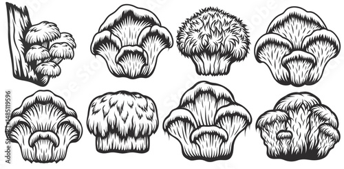 Vintage monochrome set of mushrooms including oyster and lion's mane mushroom growing on wood and soil for botanical labels, medicinal packaging, culinary or herbal product design.