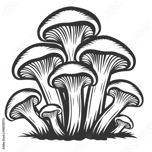 Vintage honey fungus, mushrooms clustered mushrooms with varied cap sizes and thick stems on grassy base. Suitable for food packaging, culinary design, mushroom harvesting graphics, botanical posters.
