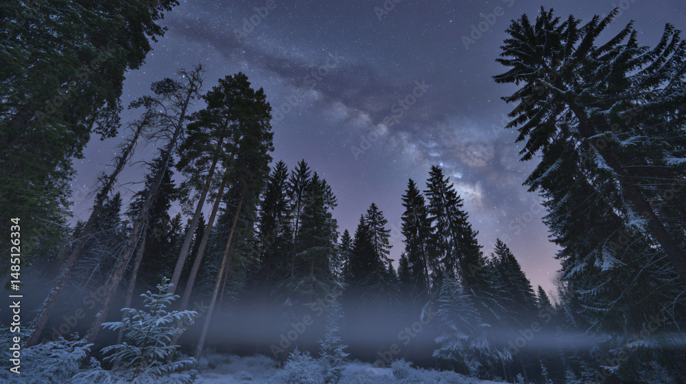 Serene night sky over a tranquil forest
