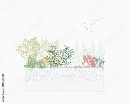 Architectural Drawings, Minimal style cad tree line drawing, Side view, set of section garden, wetland forest outline for landscape design drawing. Vector illustration in separate element shrub