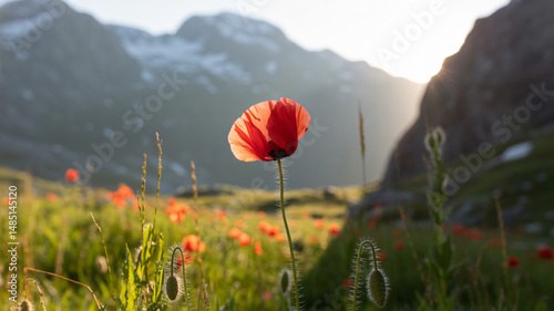 Obraz na płótnie Sunny Alpine Meadow with Vibrant Flowers and Majestic Peaks w salonie