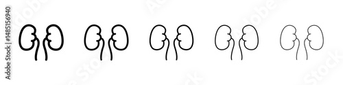 Kidneys icons in black stroke designs on white background
