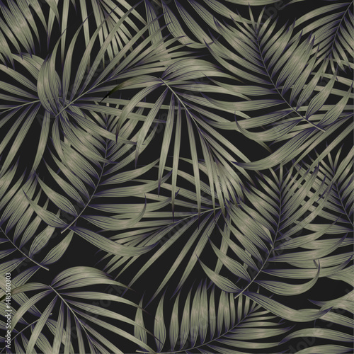 Beautiful tropical Monstera leaves with lush green tones, perfect for nature-themed designs, backgrounds, interior decor mockups, botanical illustrations, or eco-friendly branding. 