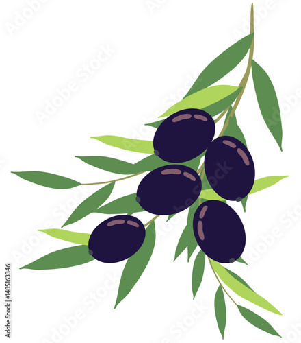 branch with olives