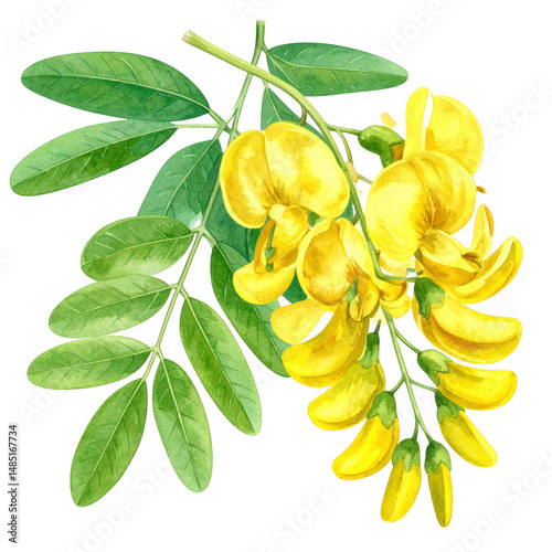 Vibrant Yellow Flowers and Lush Green Leaves Illustration Perfect for Natural and Botanical Themes in Art and Design