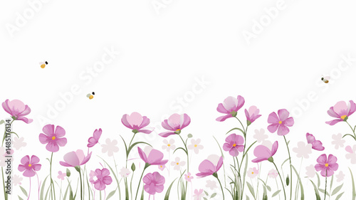 A field of pink cosmos flowers with green stems and leaves and flying bees against a white background space