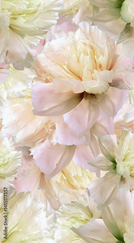 Seamless floral  background. Flowers peonies and petals peonies. Close up.