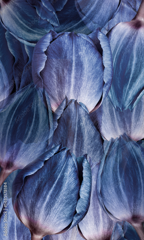 Fototapeta premium Flowers tulips Floral vertical background. Tulips petals close-up. Nature