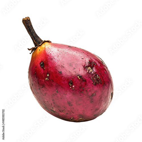 a red fruit with a brown stem on a white background