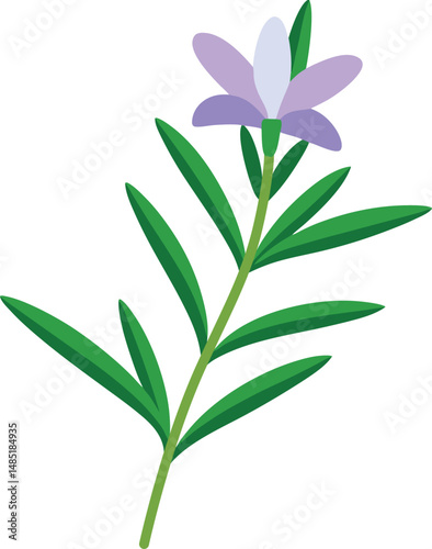 green plant isolated on white background