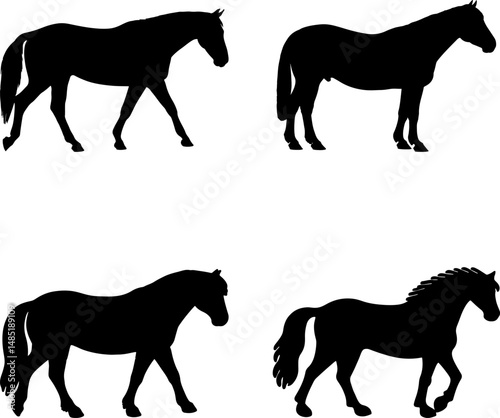 Simple, elegant silhouettes of four different horse breeds, side view, walking.