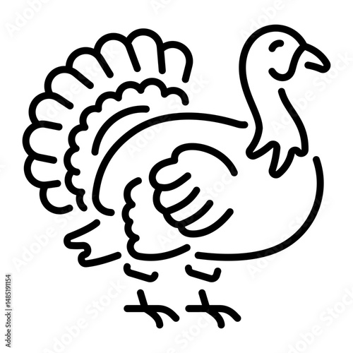 Turkey Bird