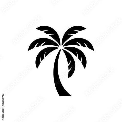 Silhouette of a palm tree