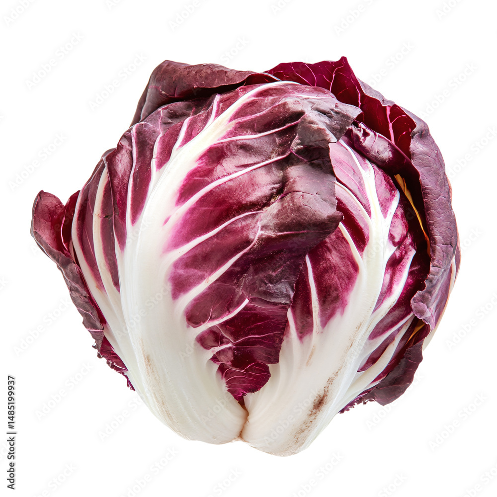 Obraz premium a close up of a red and white cabbage