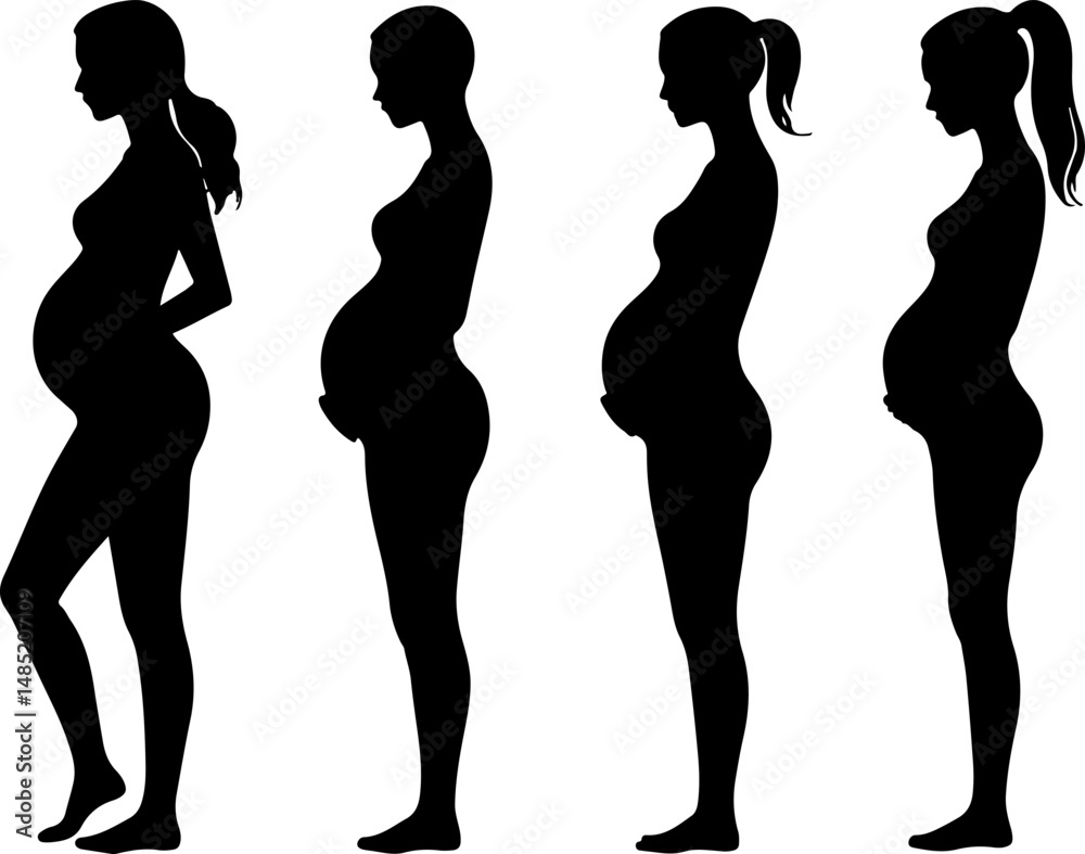 Fototapeta premium Silhouettes of Pregnant Women at Different Stages of Pregnancy