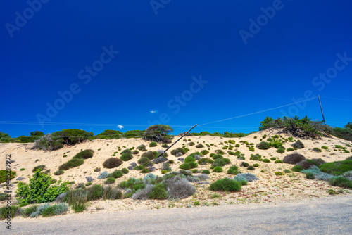 Damaged wooden electricity transmission poles and tangled wires, Sardinia, Italy