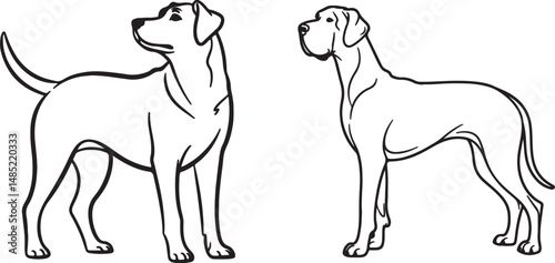 A Set Of Great Dane Outline Drawing- Majestic Dog Vector Art