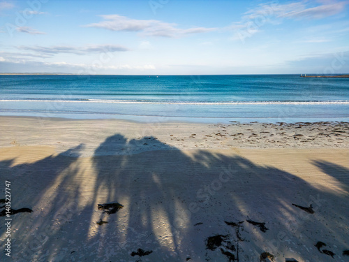 Serene Beach scape with Ocean and Palm Shadows in Victoria