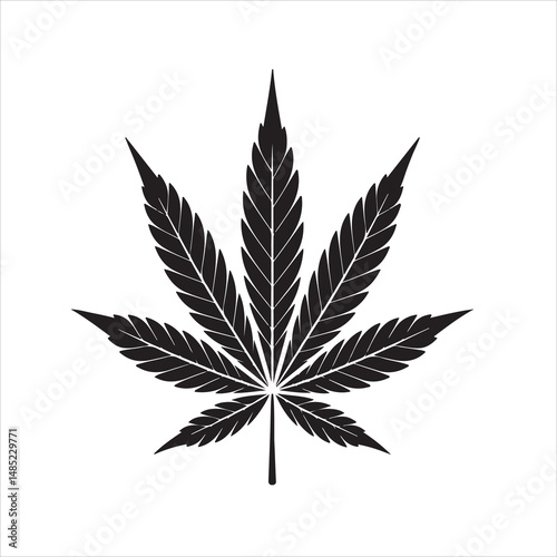 cannabis leaf vector illustration.