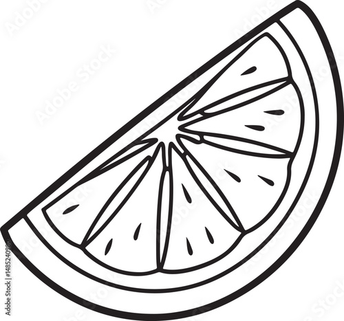 quarter slice citrus fruit line art, black outline, vector and illustration, coloring book page line art drawing