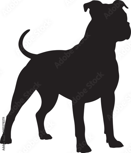 Staffordshire Bull Terrier Silhouette: Strong Dog Profile