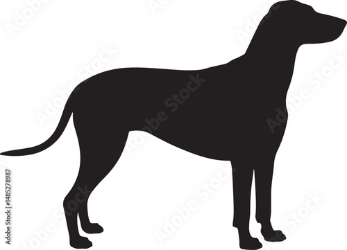 
Great Dane Dog Silhouette: Majestic Canine Profile