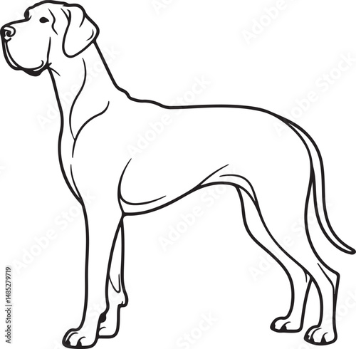 Great Dane Outline Drawing- Majestic Dog Vector Art