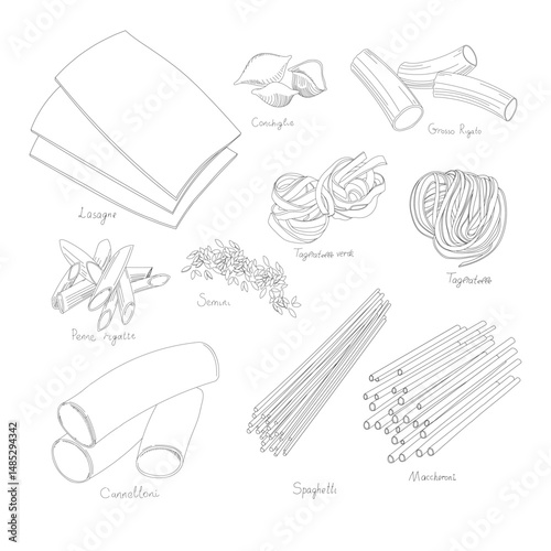 Pasta, Italian Food, Culture. Illustration, Vector. Spaghetti, Penne, Macaroni, Fusilli, Fettuccine. Sketch, Doodle, Bow Tie Pasta.
