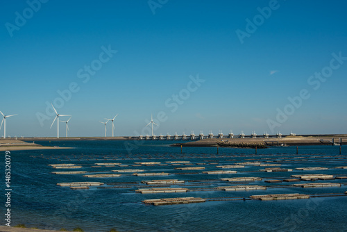 Wind turbine by the sea near the Deltawerk