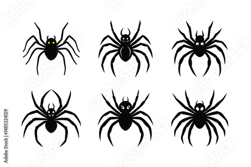halloween vector black spider design photo