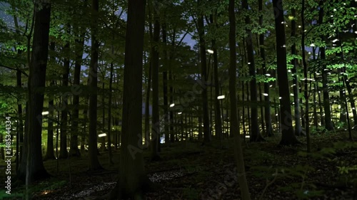 Bioluminescent Fireflies Dancing in Forest at Night