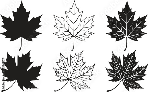 Maple Leaf Vector Set – Silhouette, Line Art, and Detailed Autumn Leaves Collection