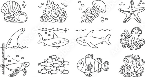 Hand-drawn underwater world illustration featuring various marine animals and coral reefs