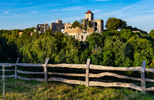 Ruins of medieval Tenczyn Castle within Jurassic Highland in Rudno village near Cracow in Lesser Poland