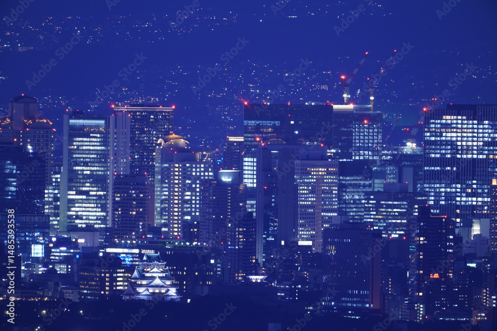 Fototapeta premium 大阪平野夜景