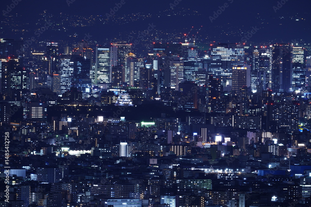 Fototapeta premium 大阪平野夜景